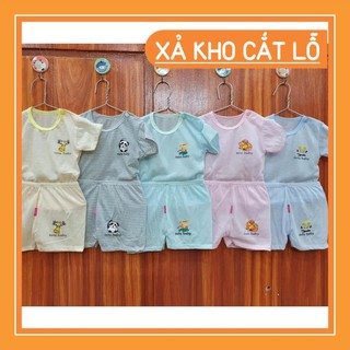 Combo 5 bộ cộc tay dành cho bé trai/bé gái size 2/6