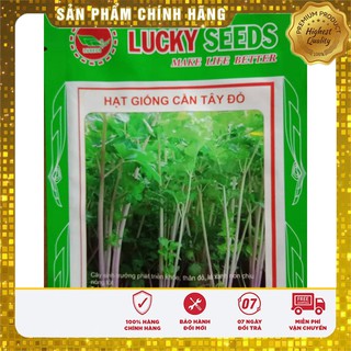 Hạt Giống Cần Tây Đỏ Hà Lan(2gr)