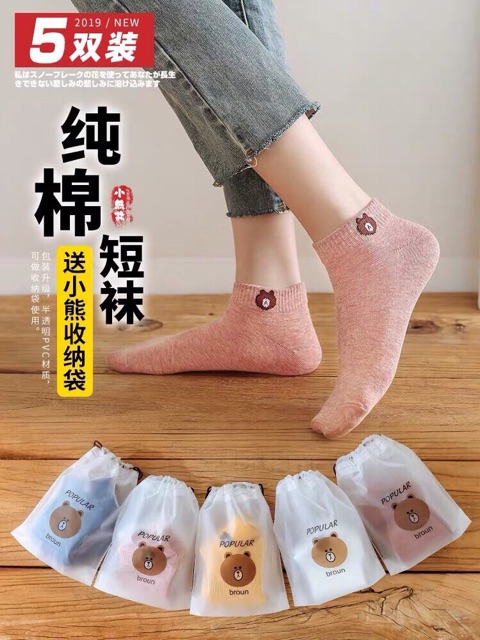 tất gấu túi 10 đôi
