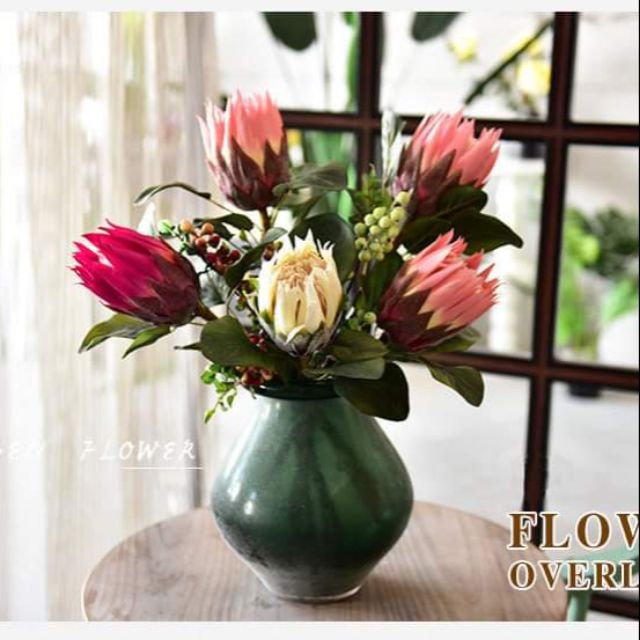 Hoa lụa - quốc hoa Nam Phi - hoa Protea