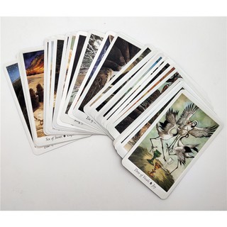 Bộ bài Tarot bằng gỗ
