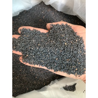 500g Vừng (Mè)  đen quê sạch loại 1