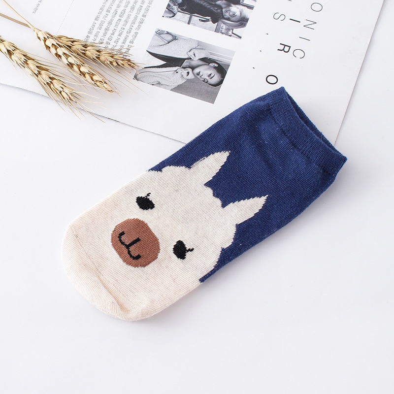 Vớ cotton Ống Ngắn Thẳng Họa Tiết Hoạt Hình Dễ Thương Phong Cách Hàn Quốc Thời Trang Mùa Hè Cho Nữ