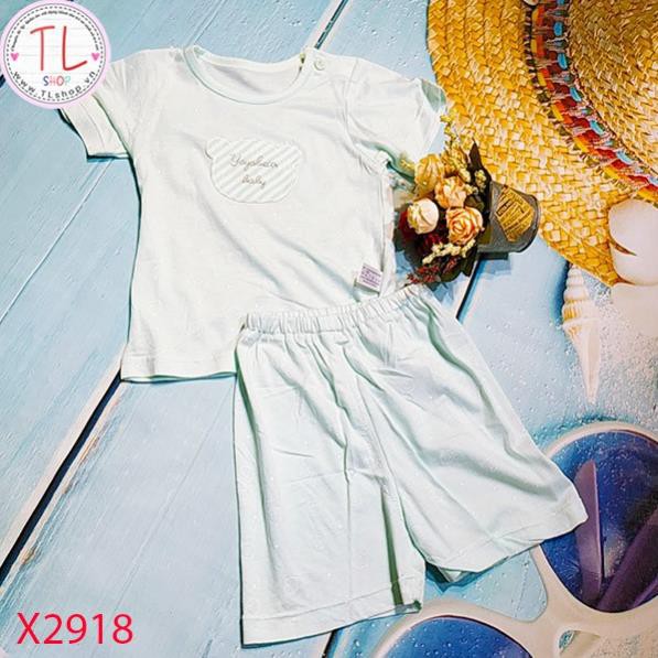 Thời trang trẻ em - Bộ áo quần thun ngắn cho bé hình gấu - Quần áo bé trai - Bộ bé trai - Quần áo bé gái - Bộ bé gái