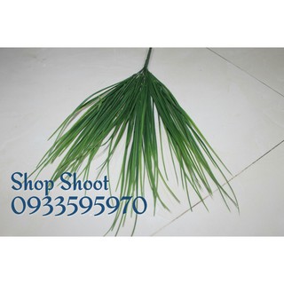 CÀNH LÁ HẸ DÀI( LÁ LÚA)