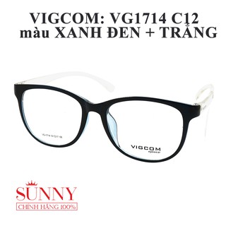 Gọng Kính Vigcom VG1523 C