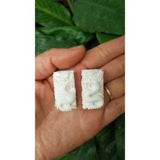 Đôi gối cóng xương đục rồng dành cho lồng chim Khuyên