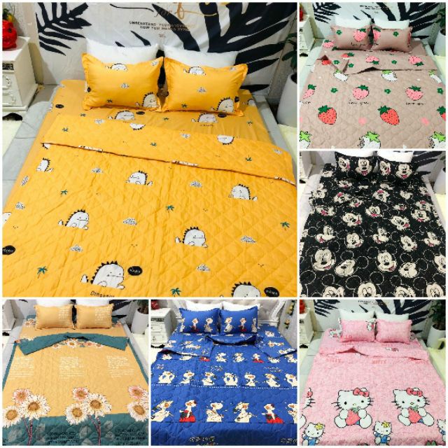 Chọn mẫu chăn hè trần bông hai mặt cotton poly