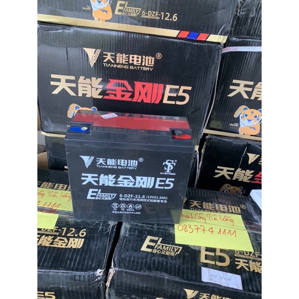 Bình Ác Quy Khô 12V-30AH efamily E5 BH 1 Năm