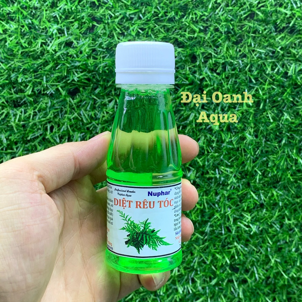 Diệt Rêu Tóc Nuphar - Dung Dịch Ức Chế Rêu Tóc Và Rêu Hại Trong Bể Cá Thủy Sinh