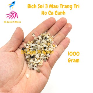 Bịch sỏi 3 màu (sỏi biển) size 0.5cm - 1000G trang trí hồ cá cảnh