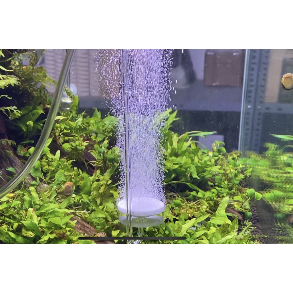 Đầu Sủi Oxy Siêu mịn treo thành bể A30-29, A40-29