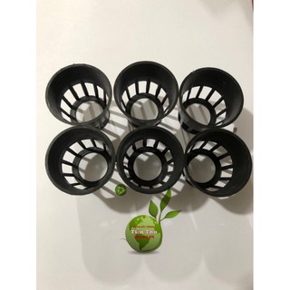 100 chiếc Rọ chuyên dùng trồng Lan giống-Lan cấy mô