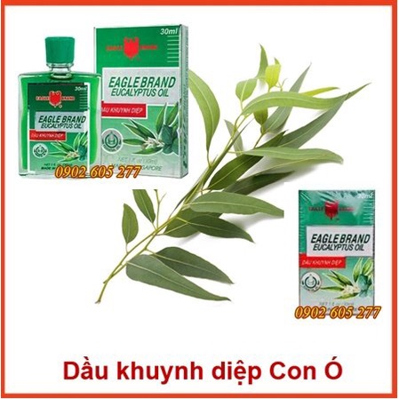 [CHÍNH HÃNG] Dầu khuynh diệp Con Ó của Mỹ Eagle Brand Eucalyptus Oil 30ml