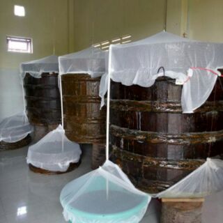 THÙNG 6 CHAI NHỰA 500ml