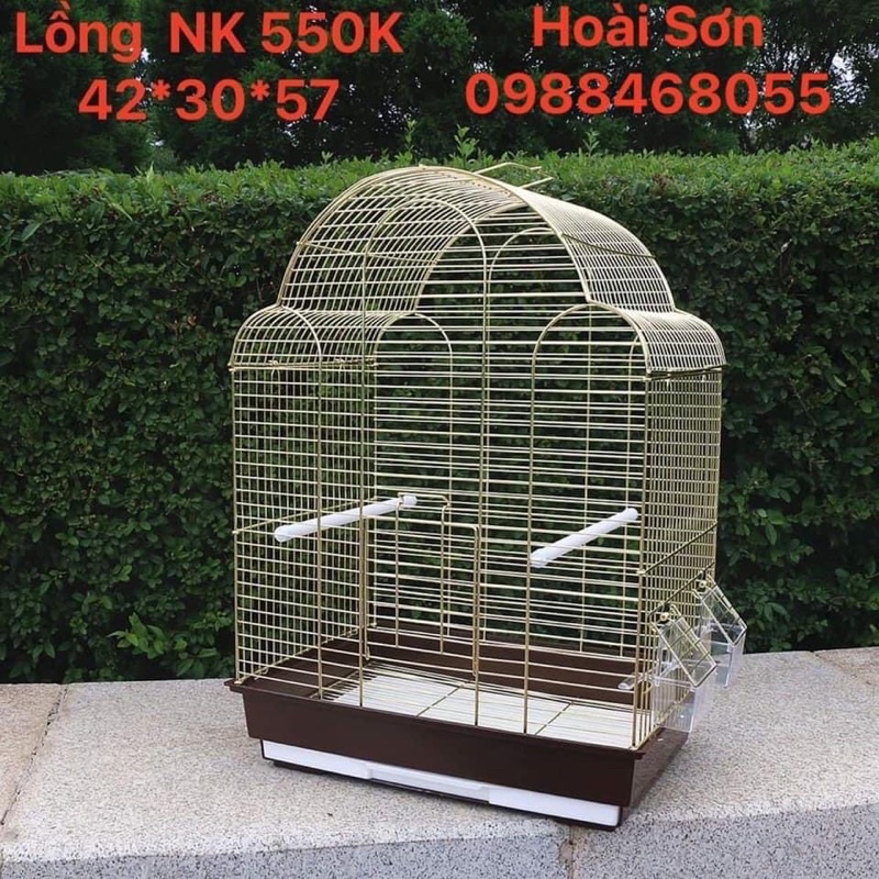 Lồng vẹt, chim nhập khẩu
