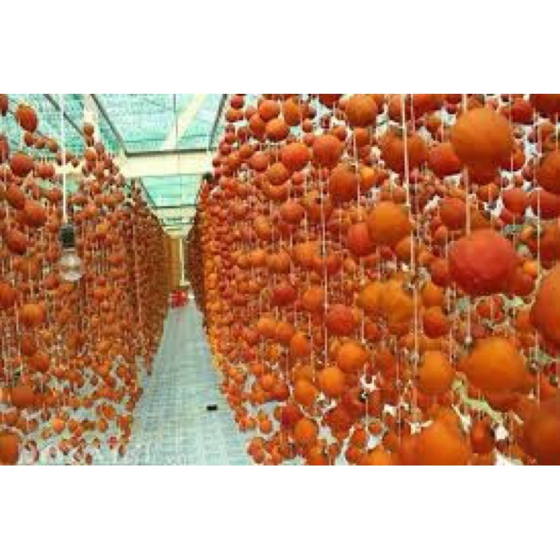 Hồng treo gió Đà Lạt - Sỉ 5kg đóng hộp | BigBuy360 - bigbuy360.vn