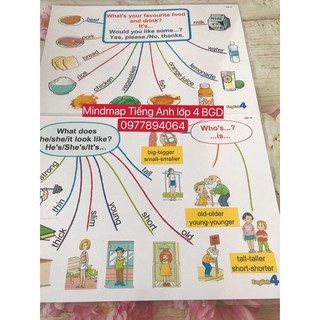Mindmap luyện nói Tiếng Anh lớp 4 BGD -Size A3 ❤️ép plastics