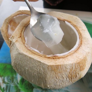Set làm thạch dừa tại nhà