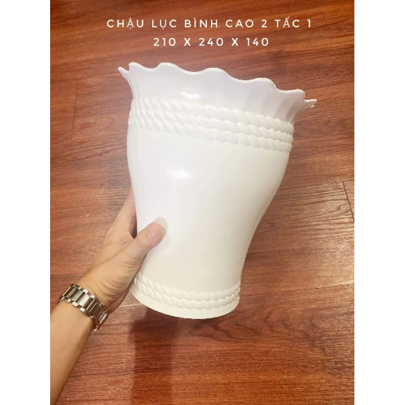 Chậu nhựa cứng cao cấp lục bình 21x24cm hàng dày đẹp (size 1)