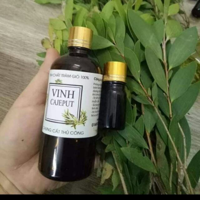 Tinh chất tràm gió 100ml ( tặng kèm 1 lọ mini tràm ).