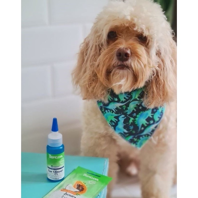 Vệ sinh tai Tropiclean OxyMed Odor Ear Cleaner cho chó mèo