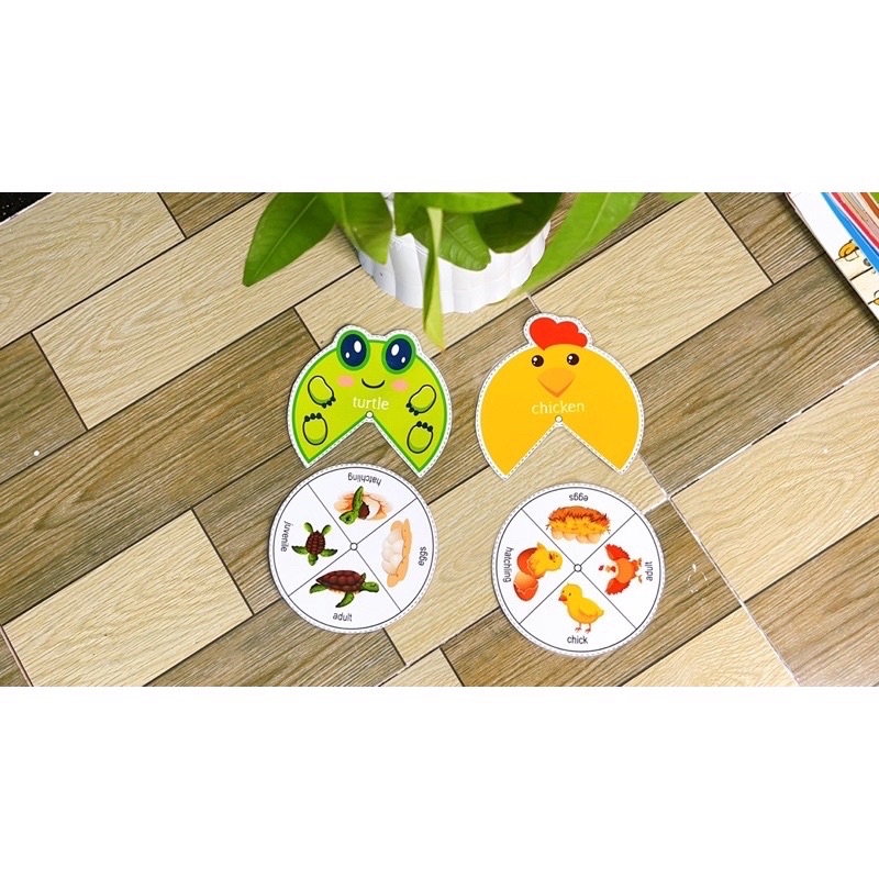 Học liệu montessori vòng đời các con vật