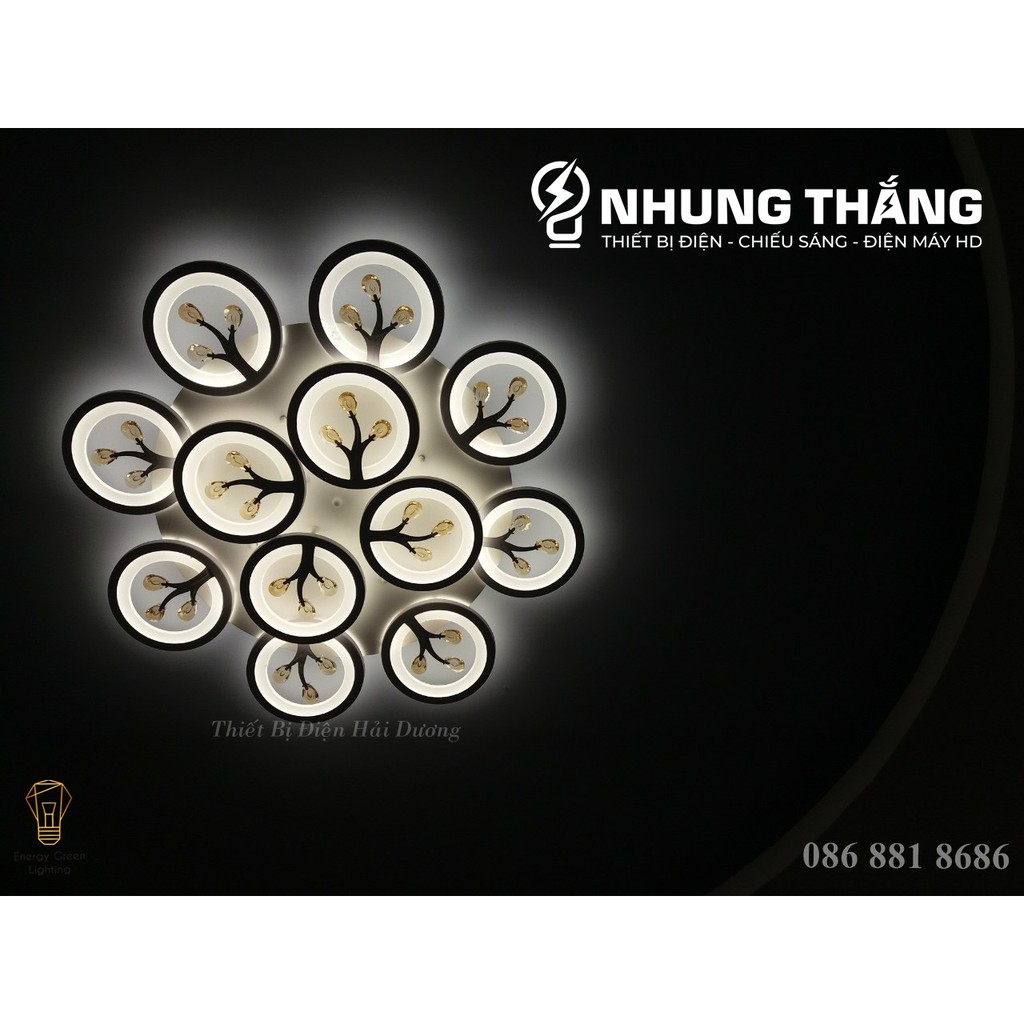Đèn Ốp Trần Hiện Đại Decor 12 Hoa Pha Lê NT031 - 3 Chế Độ Ánh Sáng - Tăng Giảm Ánh Sáng - Hẹn Giờ Ngủ - Điều Khiển Từ Xa