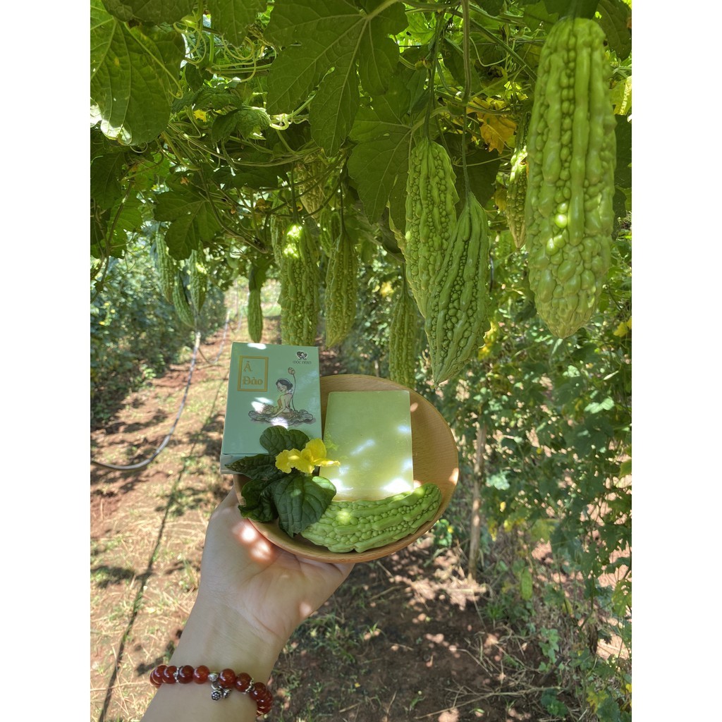 Xà bông Mướp đắng Soap ả đào Mướp đắng Mộc Nhan / Giảm mụn, giảm thâm sẹo | BigBuy360 - bigbuy360.vn