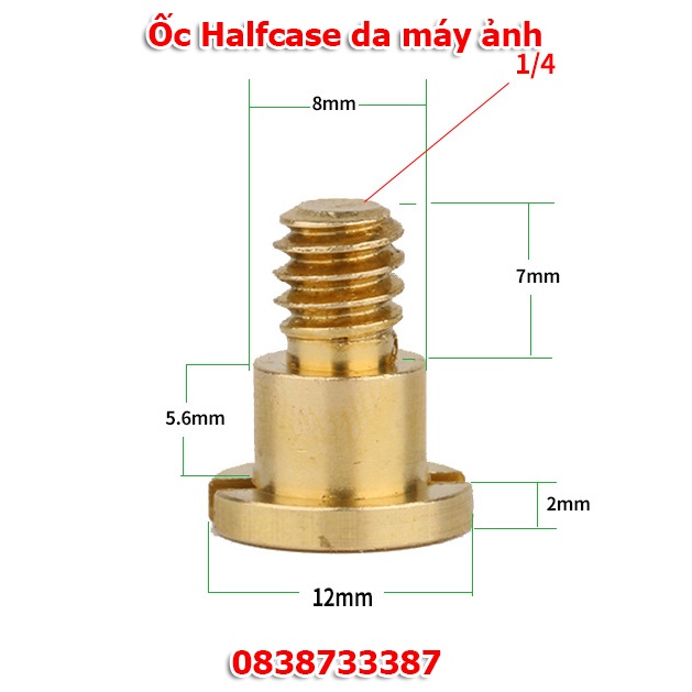 Ốc Halcase da máy ảnh - Ốc đồng