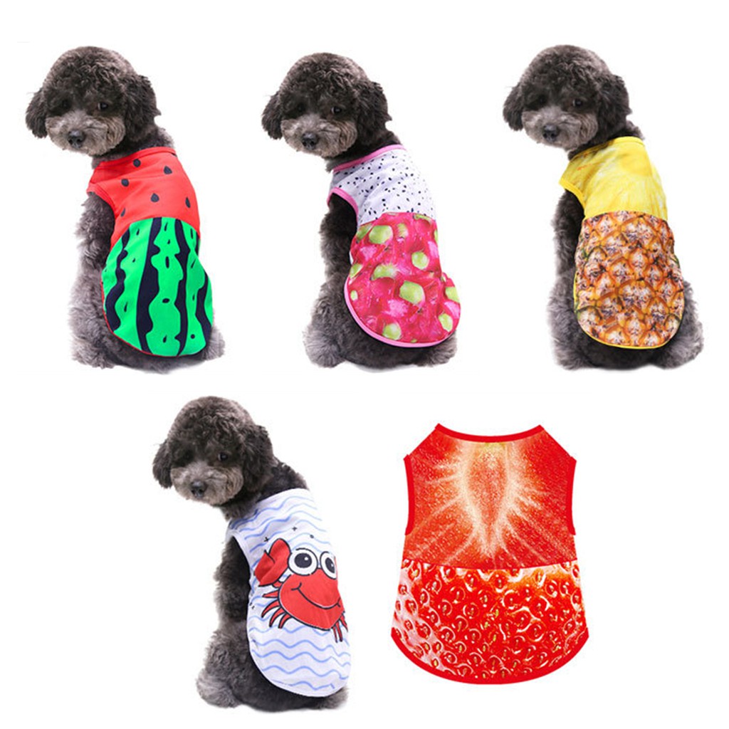 Áo Lưới Họa Tiết Hoạt Hình Cho Thú Cưng