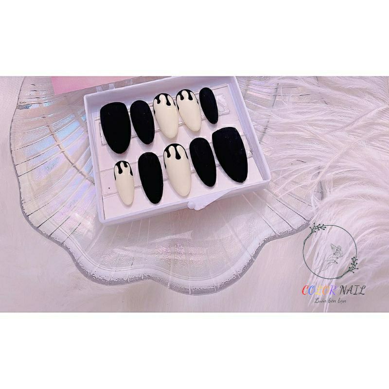 Nail box- Móng up thiết kế : Sơn nhám