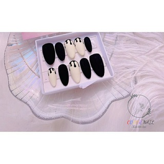 Nail box- Móng up thiết kế : Sơn nhám