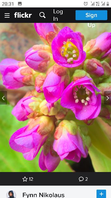 Ống kính Len máy ảnh Olympus Zuiko MC 28mm f2.8