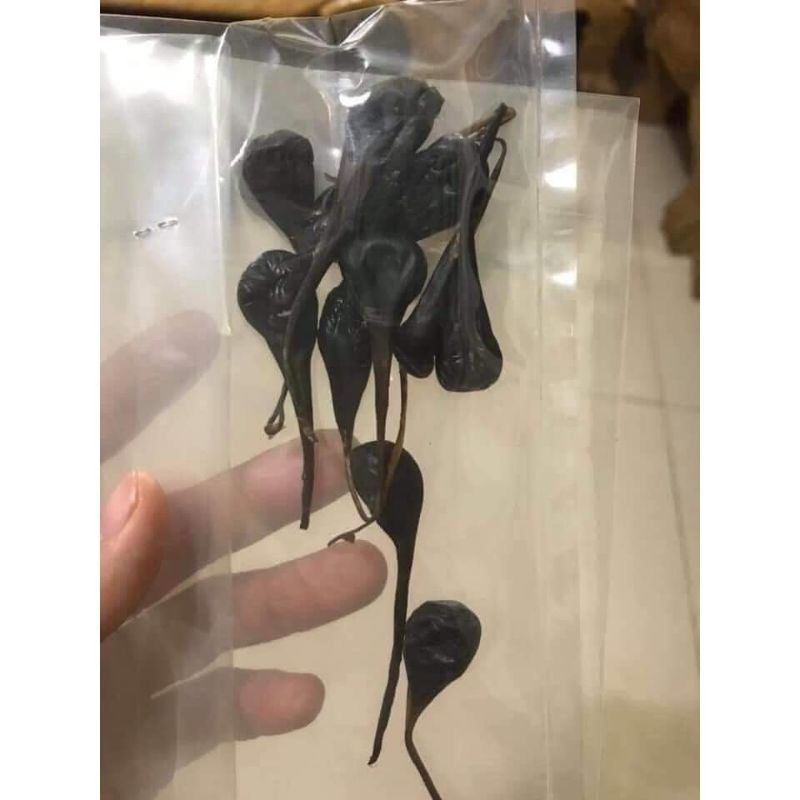 mật kỳ đà hàng rừng