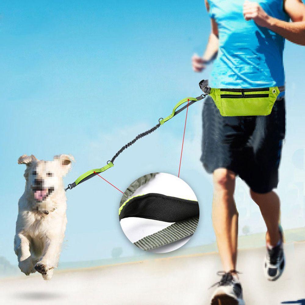 [COD] Dây Dắt Thú Cưng Đi Dạo Co Giãn Phản Quang An Toàn Tiện Dụng