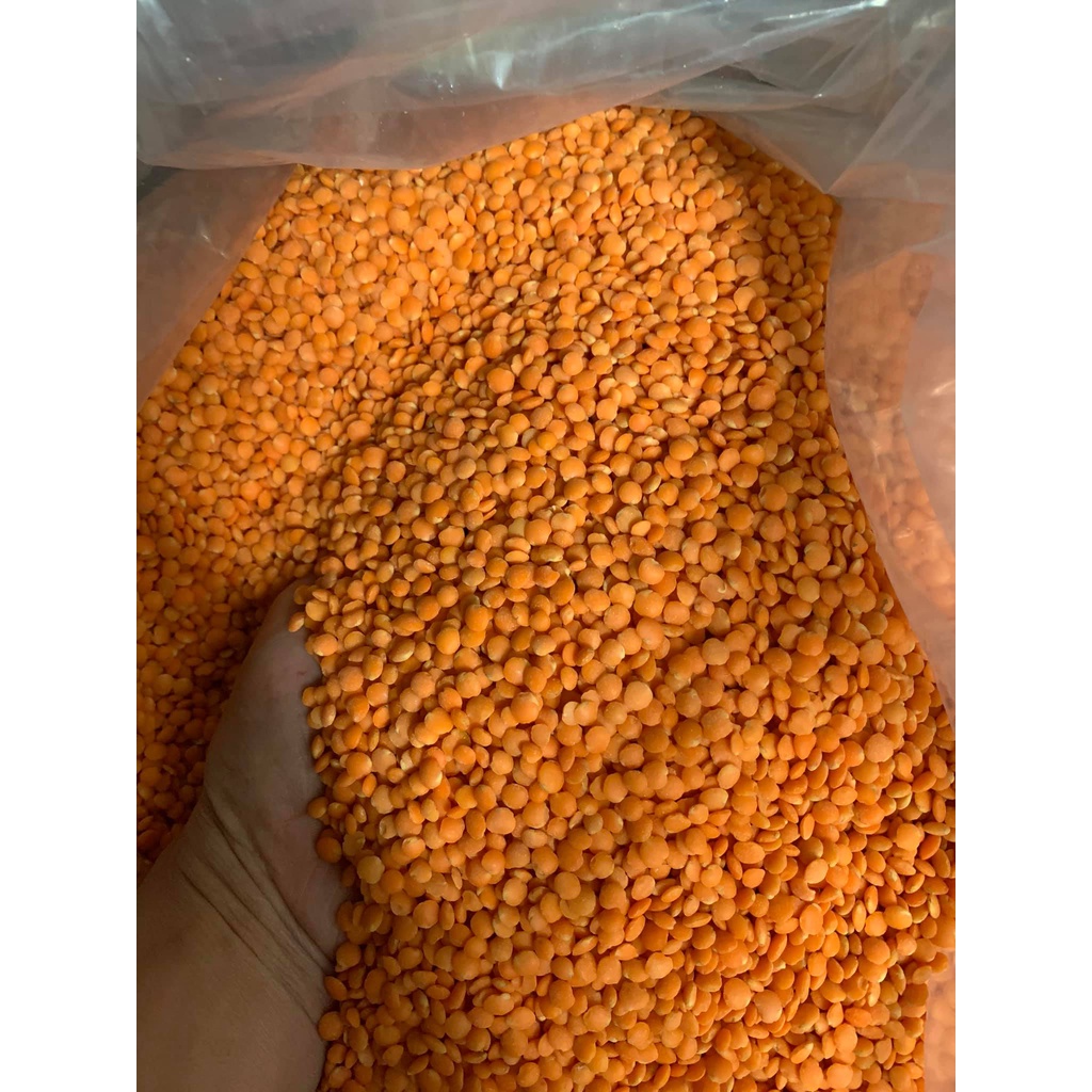 500g đậu lăng đỏ hàng khô không chất bảo quản