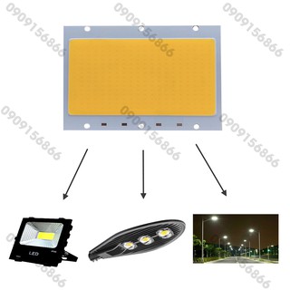 Mắt led cob 100w / Điện 150V