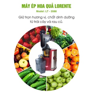 MÁY ÉP CHẬM TRÁI CÂY CHÍNH HÃNG SAVTM