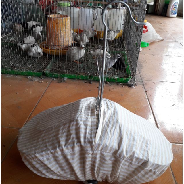 Áo lụp chim sâu, khoen, ốc mít dùng cho lụp bẫy chim nhỏ