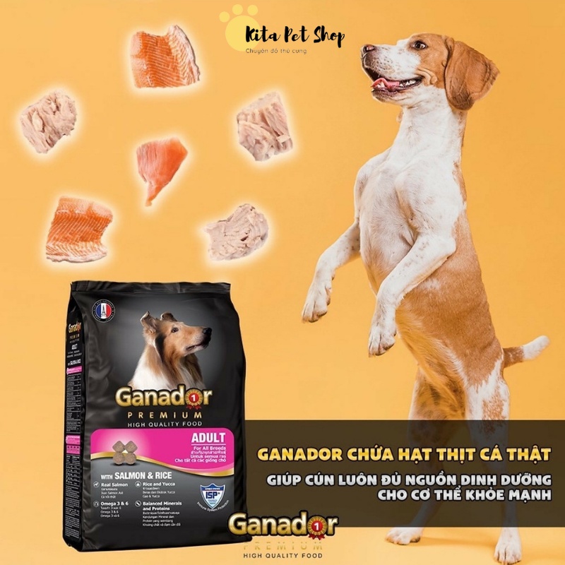 Thức Ăn Cho Chó Gói 400gr Chó Con Chó Trưởng Thành Chó Lớn Ganador - FIB's- Smartheart - adult - puppy
