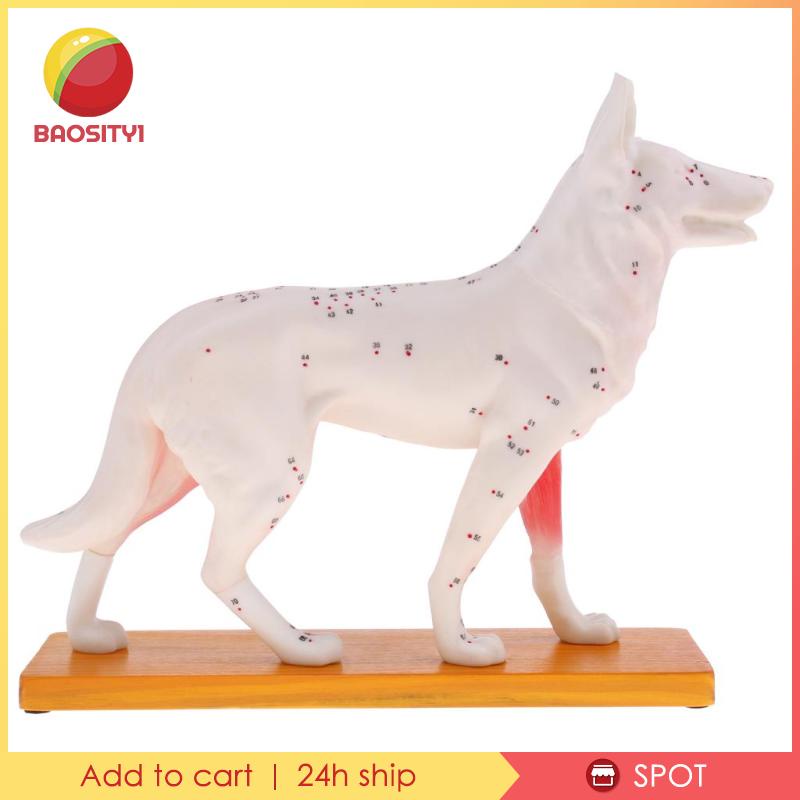 Bộ Dụng Cụ Học Tập Cho Cún Cưng [Baosity] [Baosity]