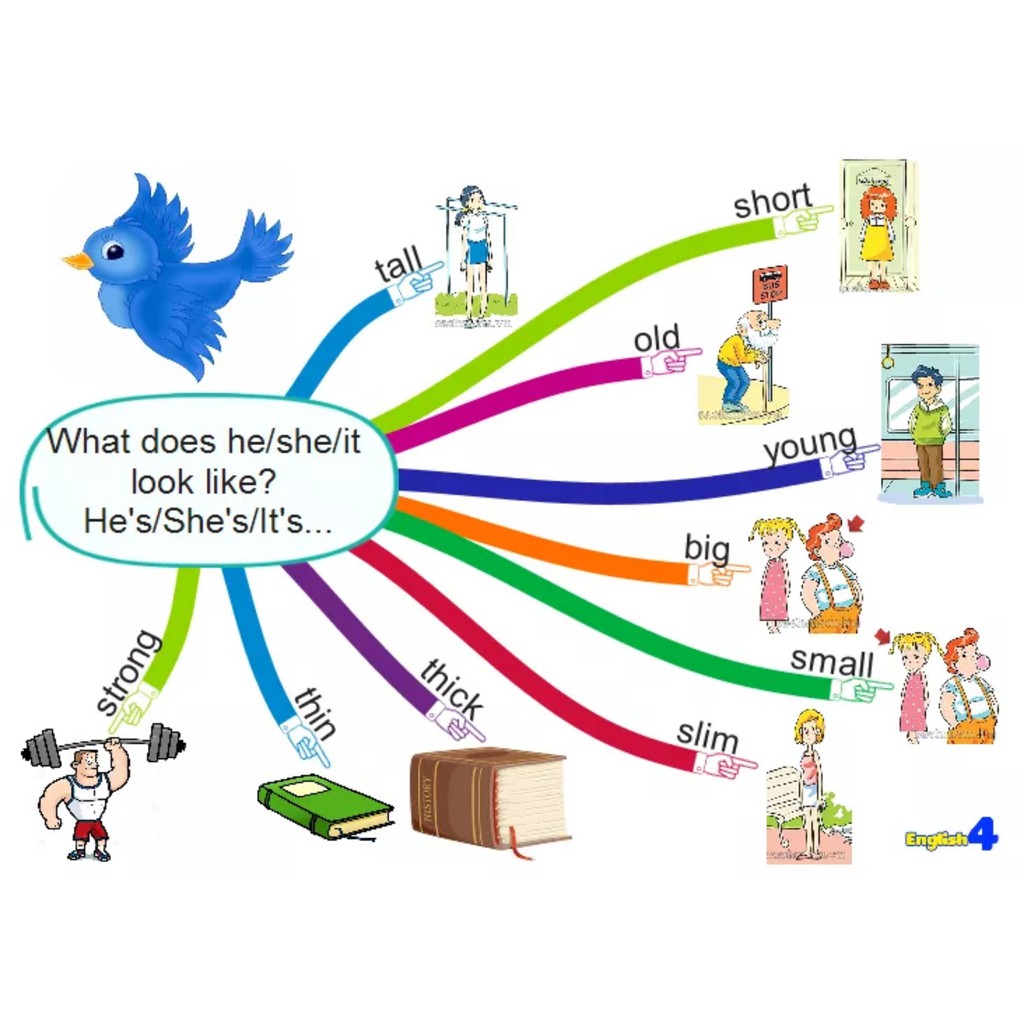Tranh sơ đồ tư duy mind map từ mầm non đến lớp 5
