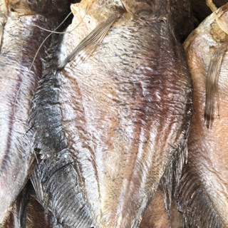 Khô cá sặc nuôi tự nhiên