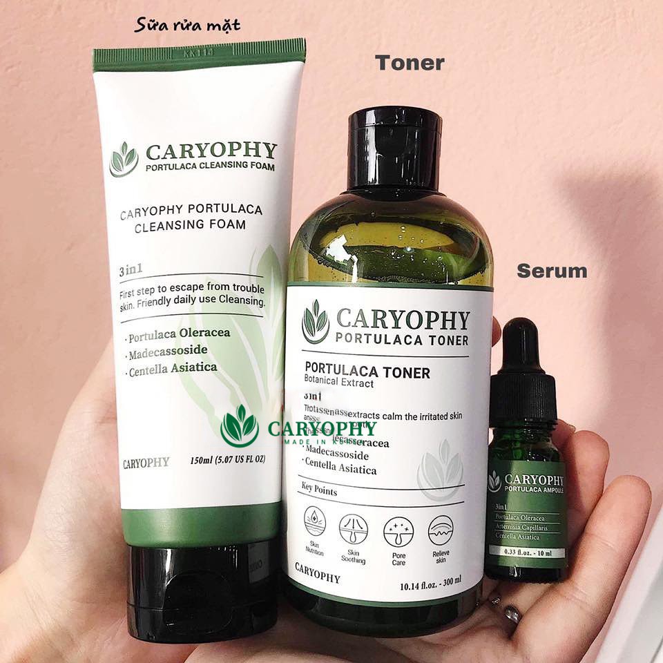 Combo 3 Món Ngăn Ngừa Mụn Thâm Serum - Toner - Sữa Rửa Mặt Caryophy Hàn Quốc | BigBuy360 - bigbuy360.vn
