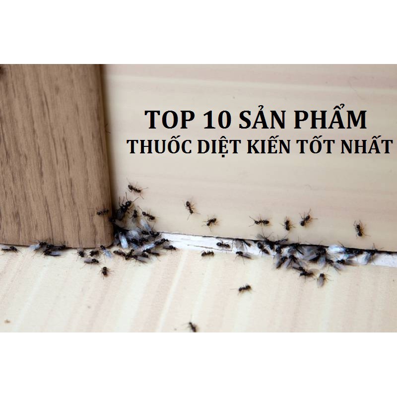Set 10 lọ thuốc diệt kiến; gián tận gốc thành phần sinh học - an toàn -  hàng Việt Nam