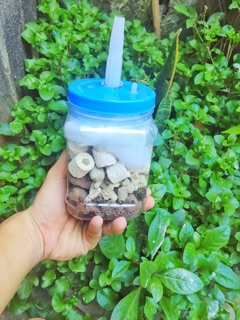 Lọc vi sinh tự chế lọc nước hồ cá