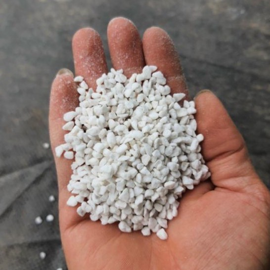 Đá Ferlite 5dm3, đá trân châu, giá thể trồng xương rồng, sen đá và hoa kiểng