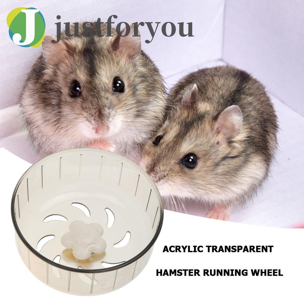 Bánh Xe Trong Suốt Cho Chuột Hamster