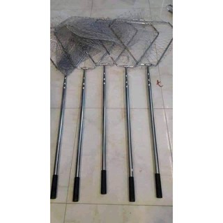 Vợt bắt cá